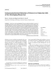 Immunocytochemical Detection of Orexin A in Endocrine Cells of the