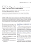 Modality-Based Organization of Ascending Somatosensory Axons in