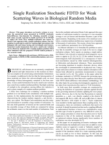 Single Realization Stochastic FDTD for Weak Scattering Waves in