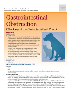 Gastrointestinal Obstruction