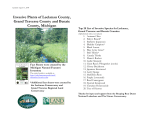 Invasive Plants of Leelanau County, Grand Traverse County and