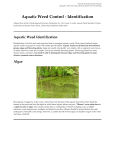 Aquatic Weed Control - Identification