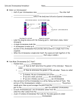 Cells and Chromosomes Note Sheet