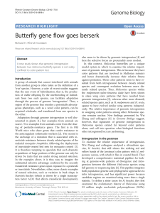 Butterfly gene flow goes berserk