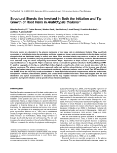 Structural Sterols Are Involved in Both the Initiation and Tip Growth