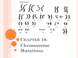 Notes on Chromosomal Mutations