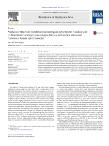 Analysis of structure–function relationships in cytochrome c oxidase