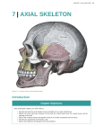 7 | axial skeleton