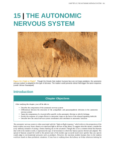 15 | the autonomic nervous system