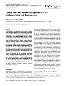 Carbon metabolite feedback regulation of leaf photosynthesis and