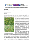 Invisible diversity: the effects of plant genetic diversity on soil