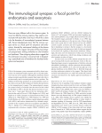 The immunological synapse: a focal point for endocytosis and