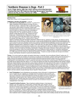 Vestibular Diseases in Dogs - Part 2