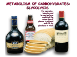 METABOLISM OF CARBOHYDRATES: GLYCOLYSIS