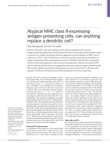 Atypical MHC class II-expressing antigen