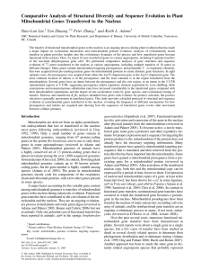 Comparative Analysis of Structural Diversity and