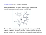 RNA does not - UF Macromolecular Structure Group