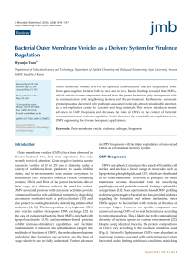 Bacterial Outer Membrane Vesicles as a Delivery System for