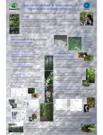 Plant species attributes and spacial patterns of regeneration in