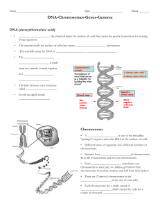 DNA-Chromosomes-Genes-Genome student notesheet
