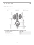 STUDY GUIDE