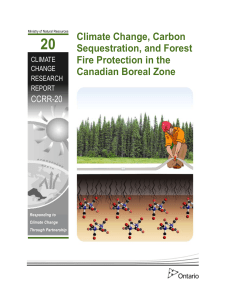 Climate change, carbon sequestration, and forest fire protection in