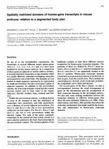 Spatially restricted domains of homeo-gene