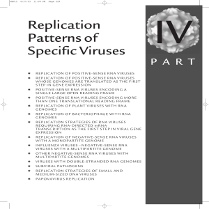 Replication Patterns of Specific Viruses