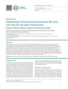 life cycle, cell wall and cell signal transduction