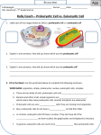 Rally Coach for Prokaryotes and Eukaryotes