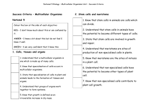 Success Criteria – Multicellular Organisms 2. Stem cells and