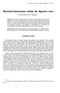 Bacterial interactions within the digestive tract