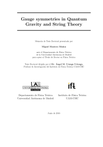 Gauge symmetries in Quantum Gravity and String Theory