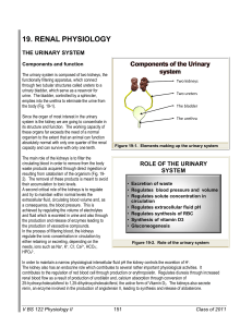 19. RENAL PHYSIOLOGY