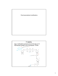 Post-transcriptional modifications Cap a