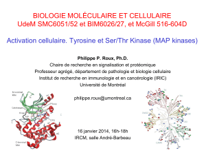 Protein kinases - Institut de recherches cliniques de Montréal