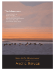 arctic refuge - Audubon Alaska