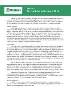 Sulfur for Ruminants - Westway Feed Products