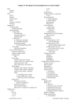 Chapter 13 The Spinal Cord and Spinal Nerves Lecture Outline