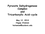 Pyruvate Dehydrogenase Complex and Tricarboxylic Acid