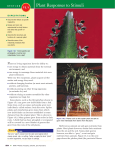 Plant Responses to Stimuli