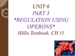 UNIT 6 lecture part 3regulation