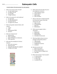 Eukaryotic Cells