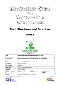 Plant Structures and Functions