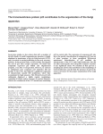 p23 and organization of the Golgi apparatus