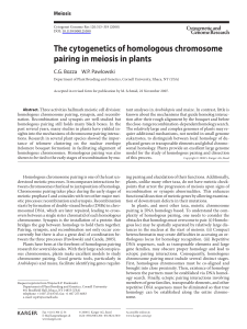 The cytogenetics of homologous chromosome pairing in meiosis in
