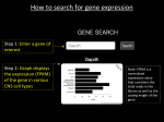 How to search for gene expression