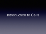 Introduction to Cells.key