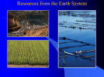 Resources from the Earth System