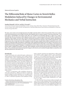 The Differential Role of Motor Cortex in Stretch Reflex Modulation
